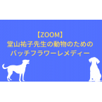 【ZOOM...